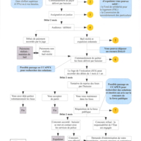 SCHEMA PROC EXPULSION